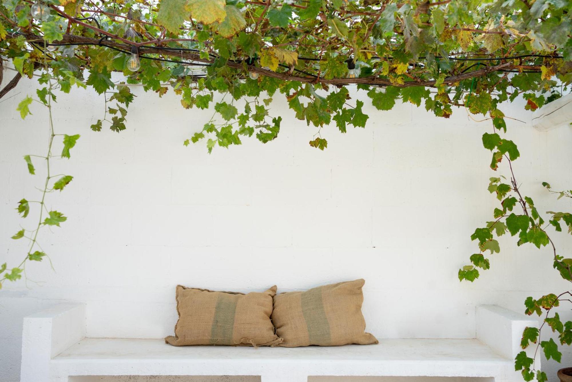Bed and Breakfast Oltre Gli Ulivi Ostuni Exterior foto