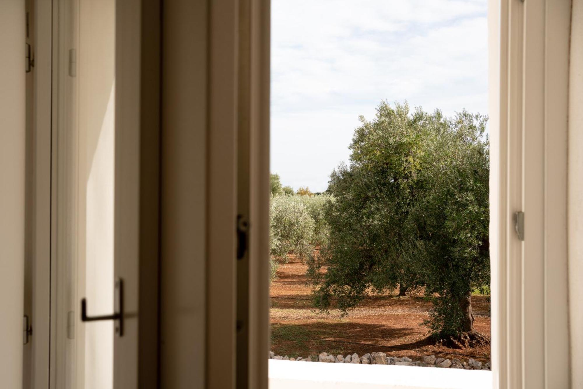 Bed and Breakfast Oltre Gli Ulivi Ostuni Exterior foto
